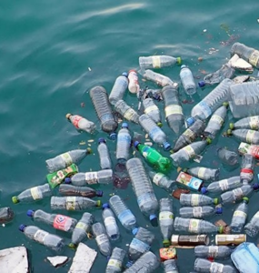 pollution of plastic bottles