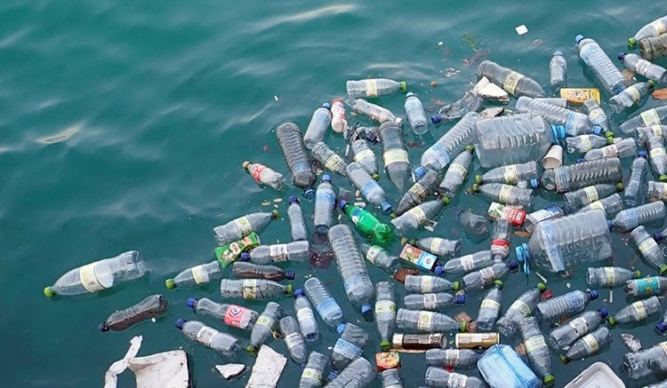 pollution of plastic bottles